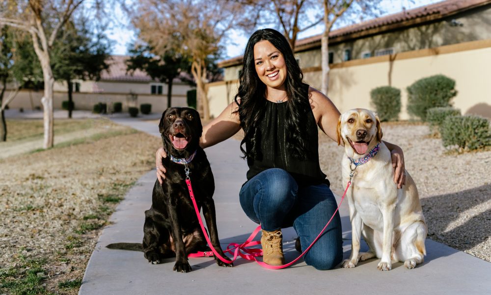 Dog Collars and Leashes